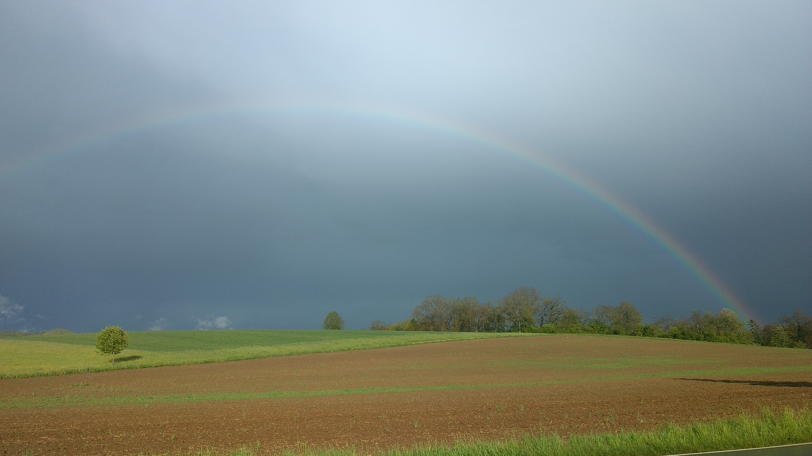 Regenbogen