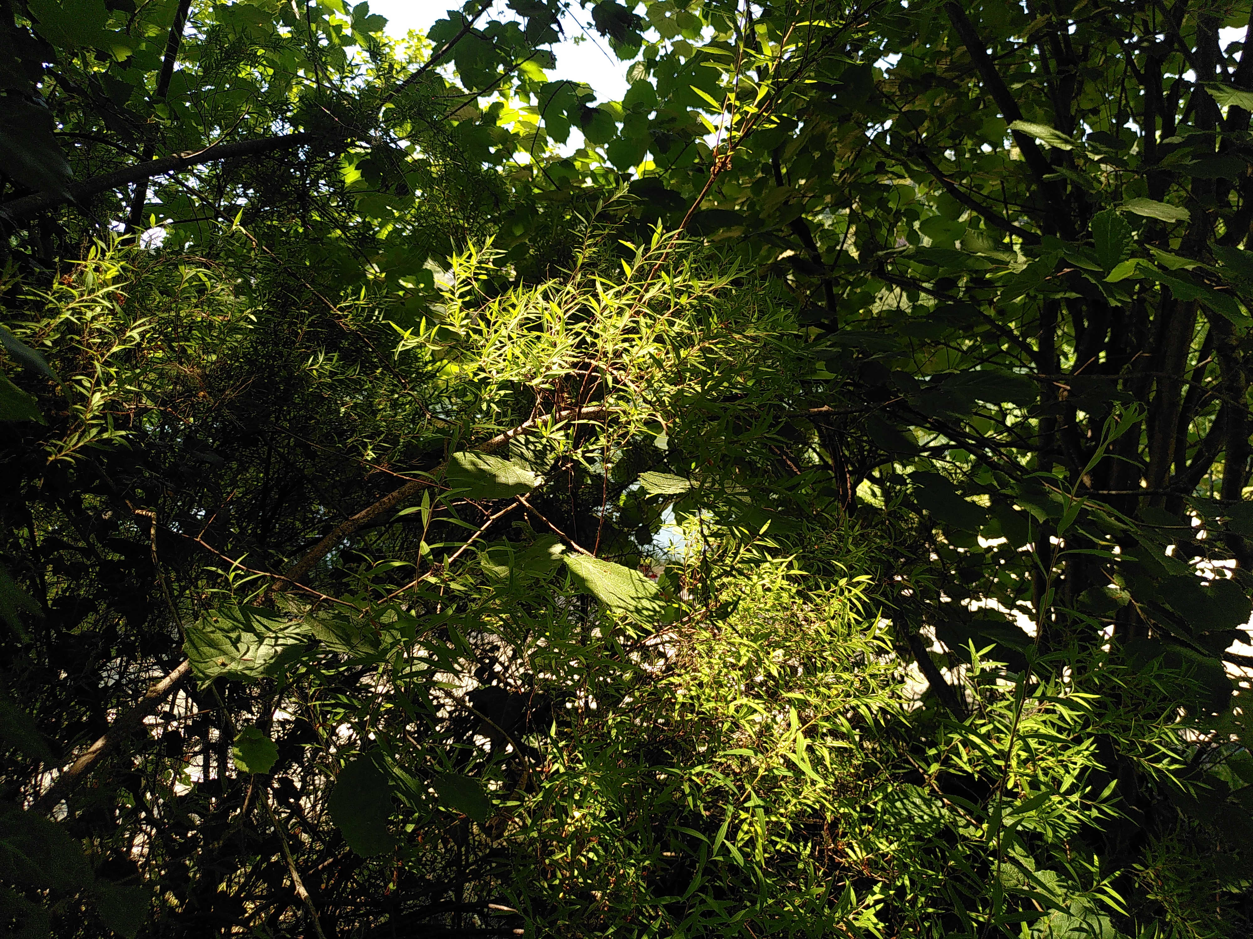 Lichf und Schatten